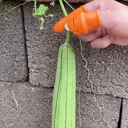 ClipHarvest™ – Arrache mauvaises herbes manuel