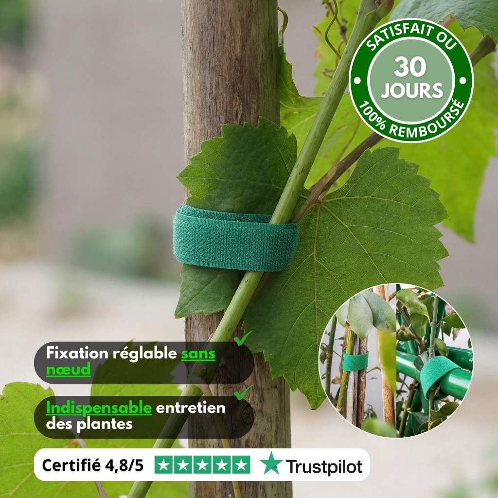 Plantifix™ – Attaches nylon ajustables plantes