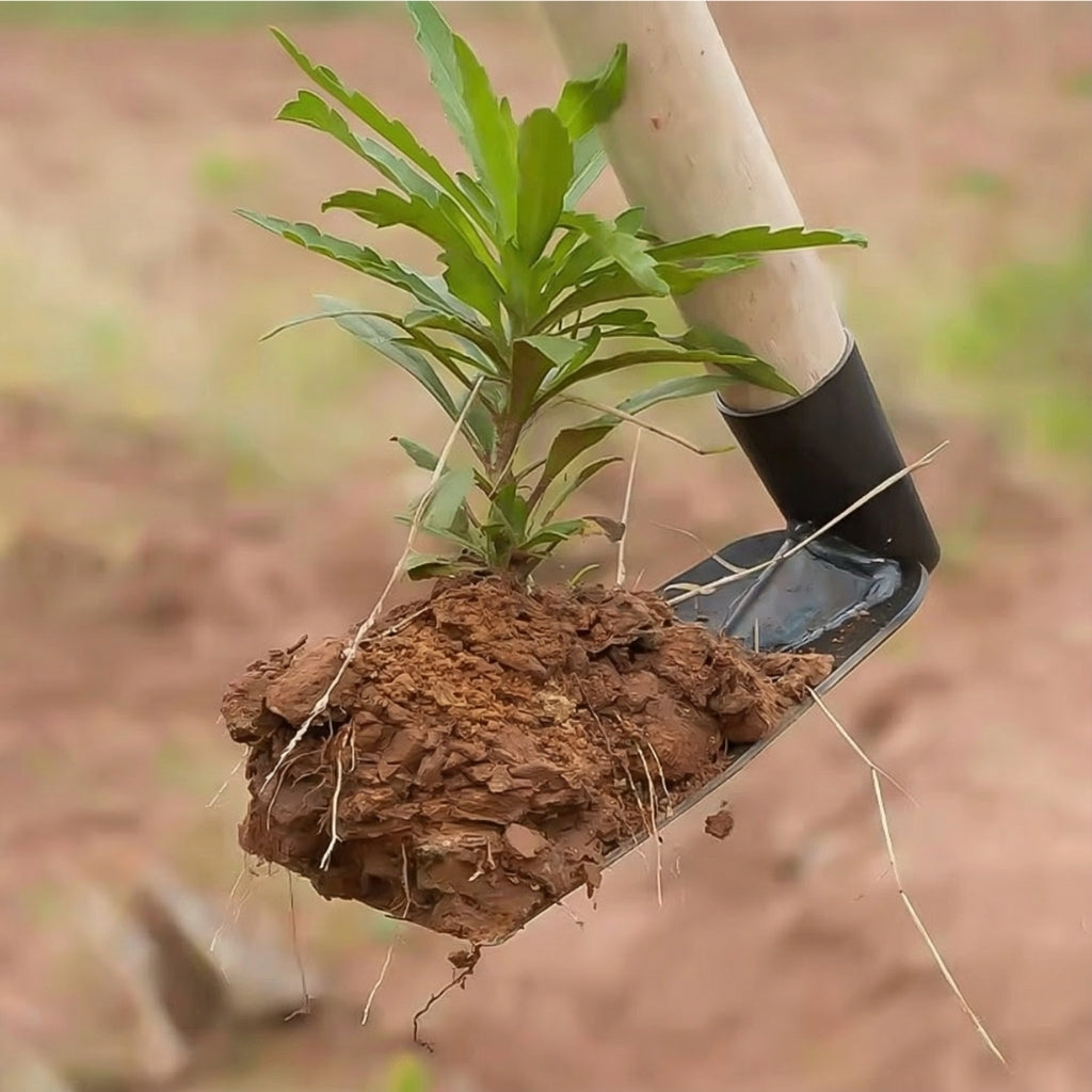 TerraHoue™ – Petite houe de jardin forgée